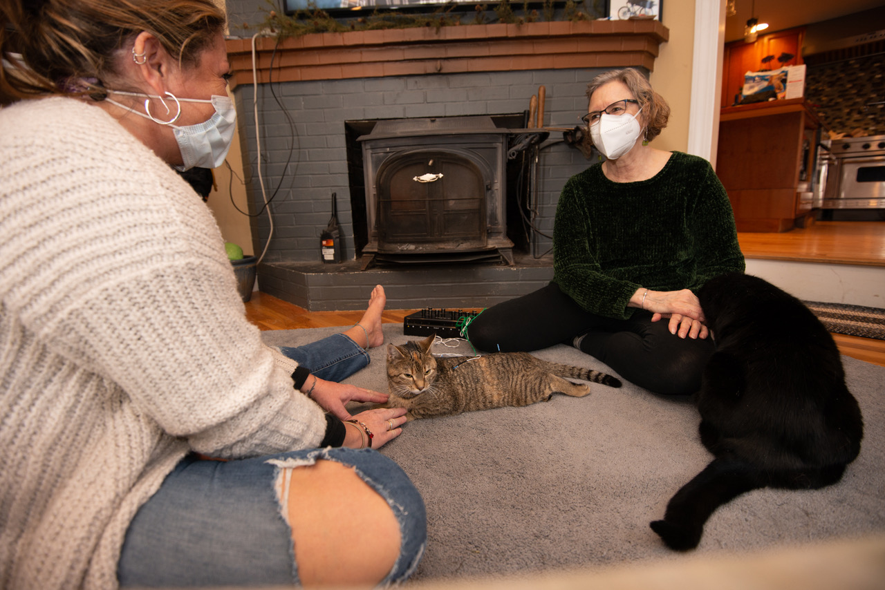 New Patient Information for Animals in Balance Acupuncture